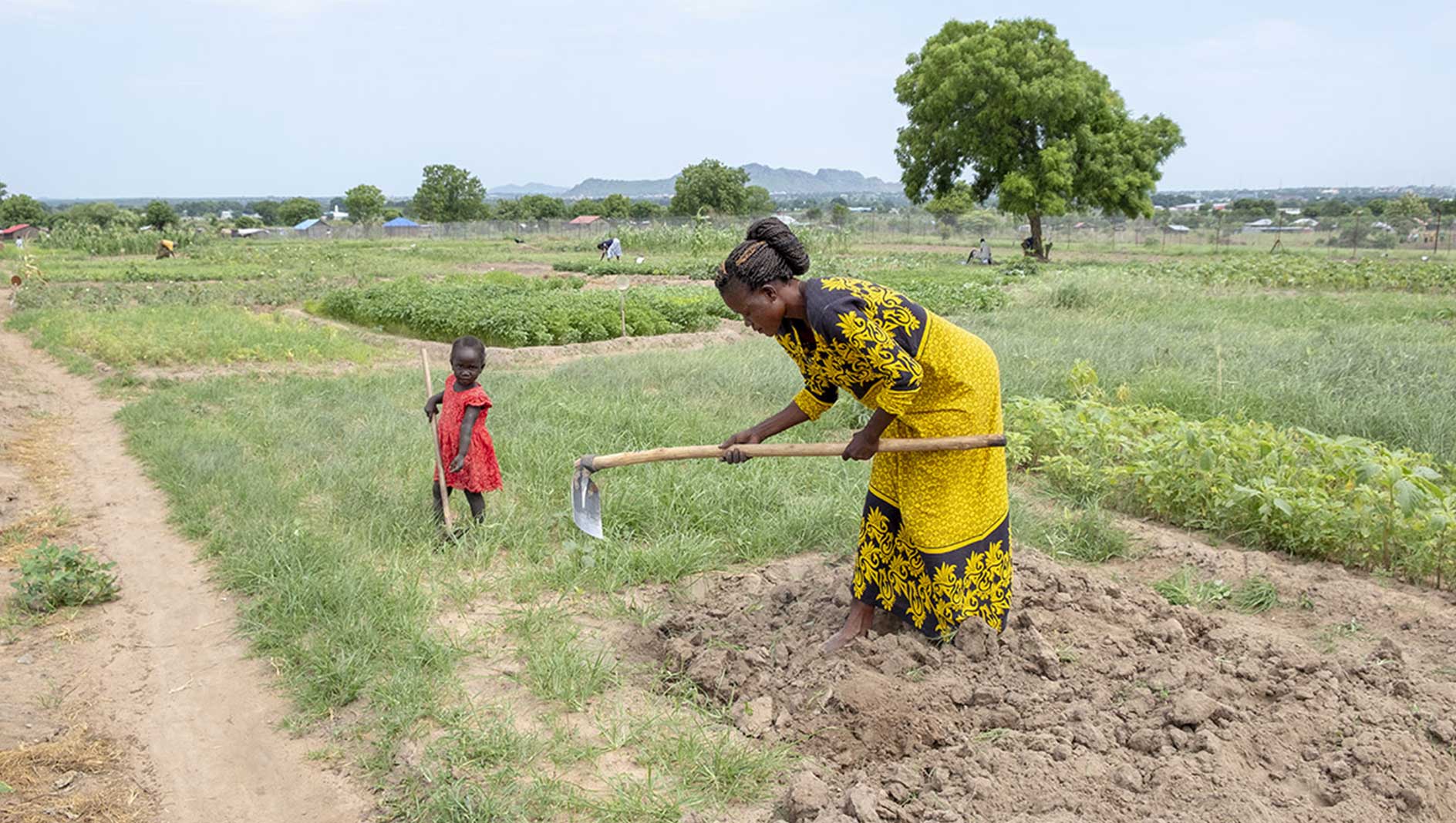 Donna africana che coltiva la terra